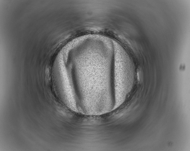 X0000096171347200802081402