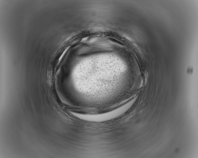 X0000096171348200802081402