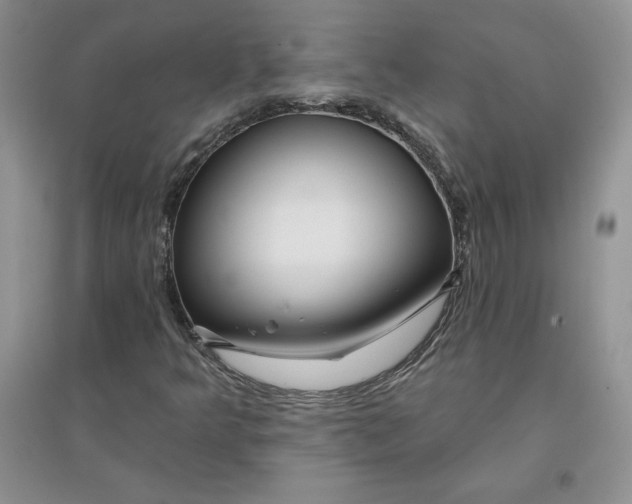 X0000096171349200802081401