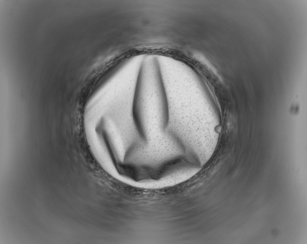 X0000096171350200802081401