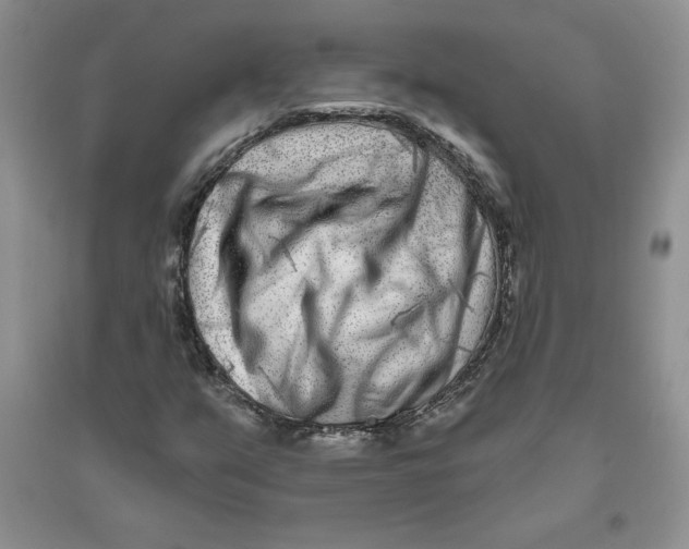 X0000096171351200802081401