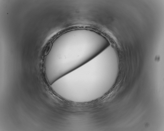 X0000096171352200802081401