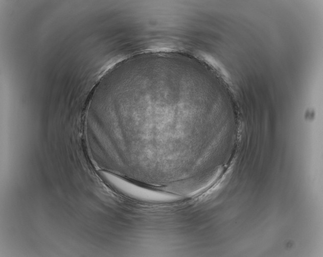 X0000096171353200802081401