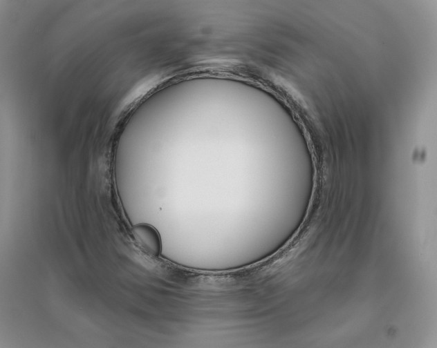 X0000096171354200802081401