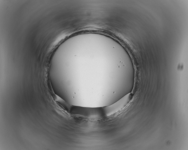 X0000096171355200802081401