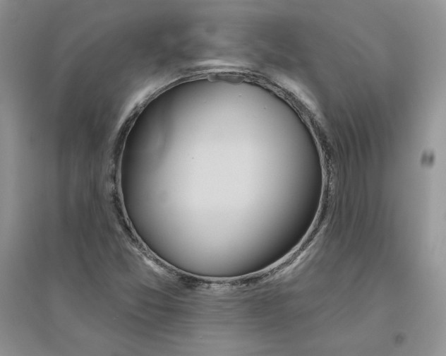 X0000096171357200802081401