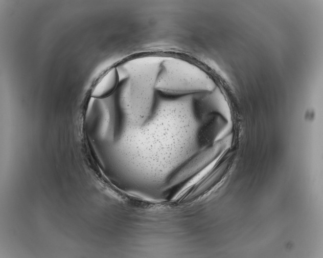 X0000096171358200802081401