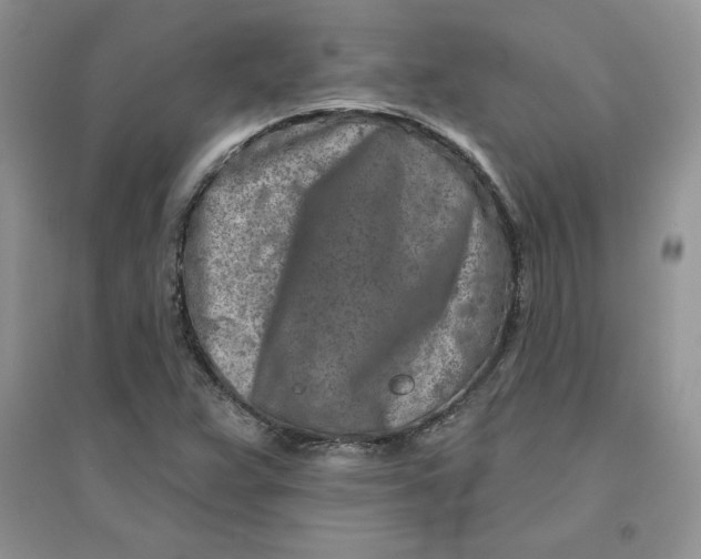 X0000096171359200802081401