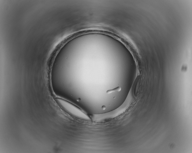 X0000096171360200802081401