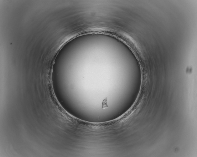 X0000096171361200802081401