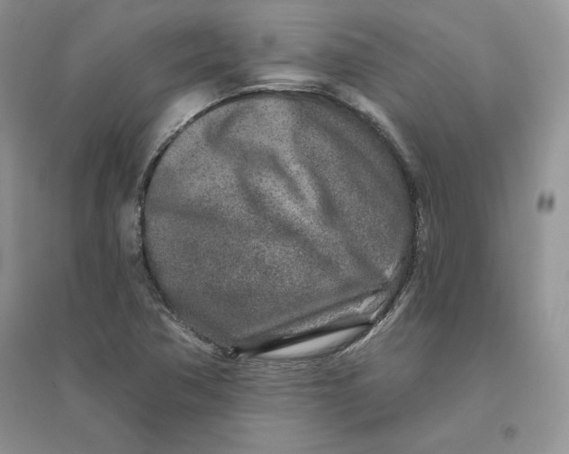 X0000096171362200802081401