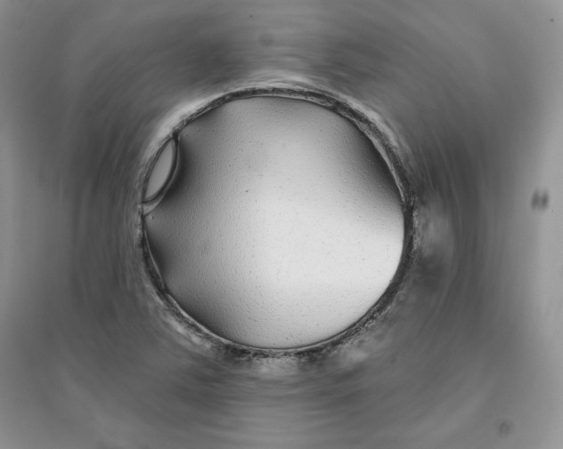 X0000096171363200802081401