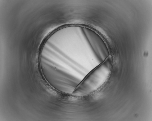 X0000096171364200802081401