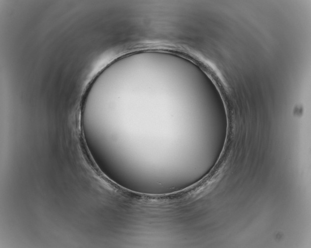 X0000096171365200802081401