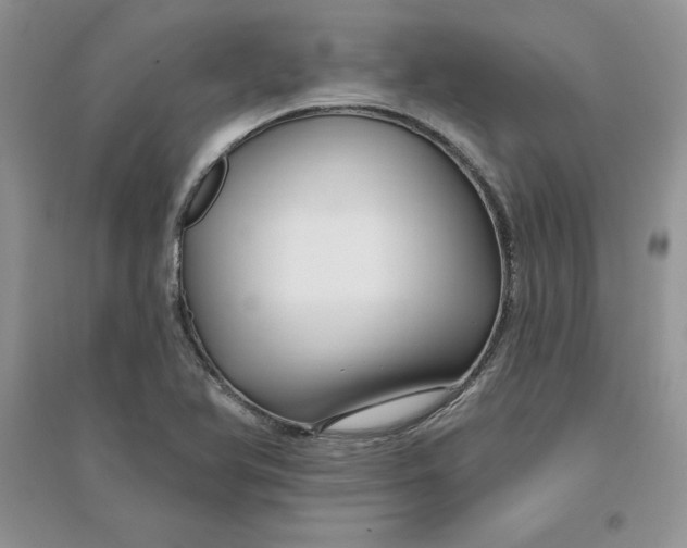 X0000096171366200802081401