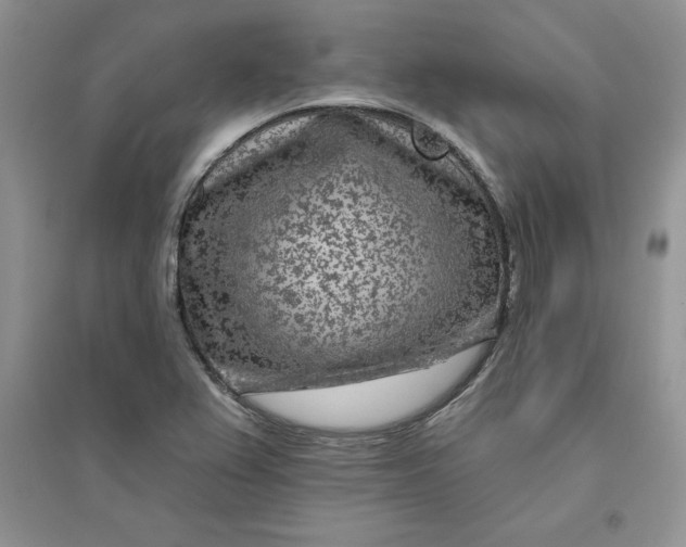 X0000096171367200802081401