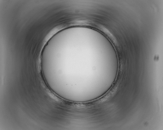 X0000096171370200802081401