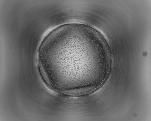 X0000096171371200802081401