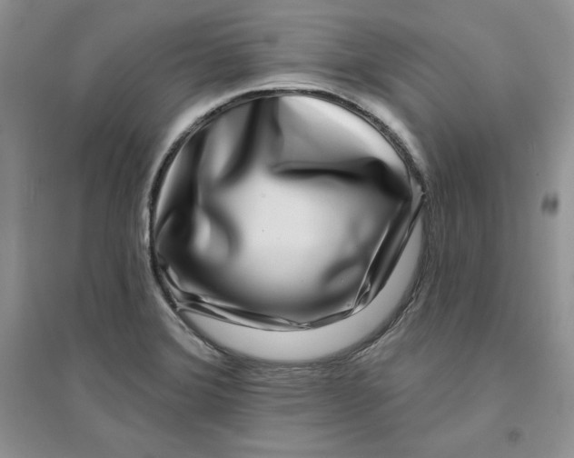 X0000096171372200802081401