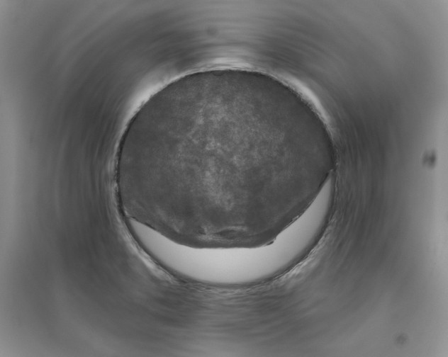 X0000096171373200802081401