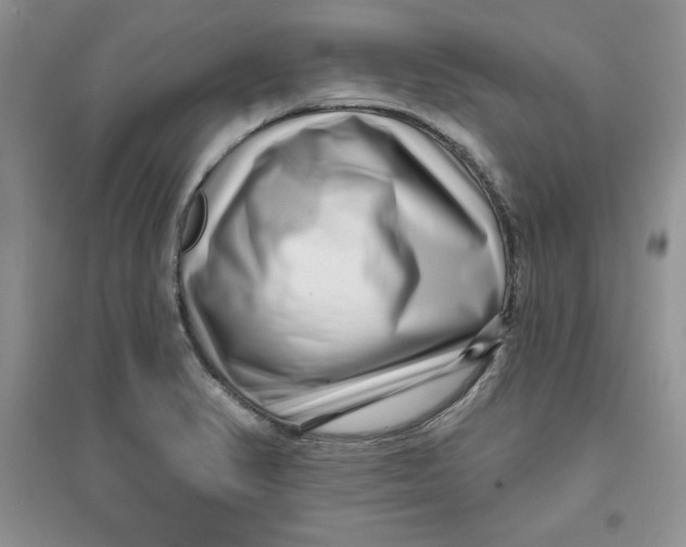 X0000096171374200802081401