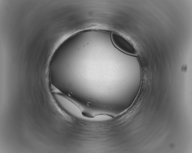 X0000096171375200802081401