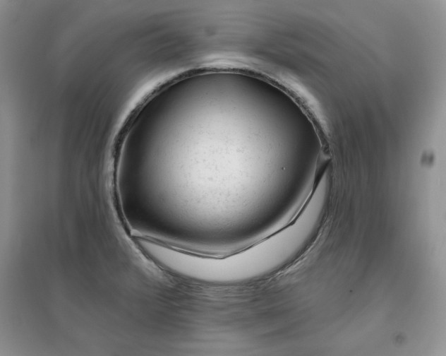 X0000096171376200802081401