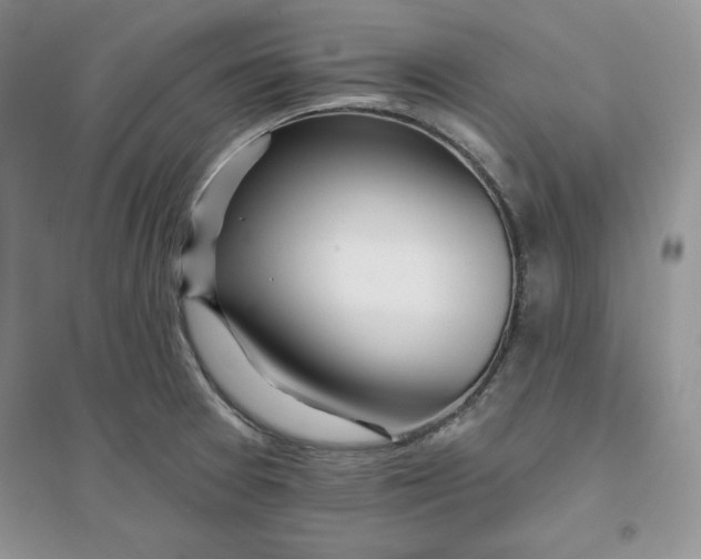 X0000096171377200802081401