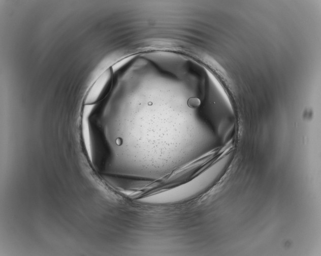 X0000096171378200802081401