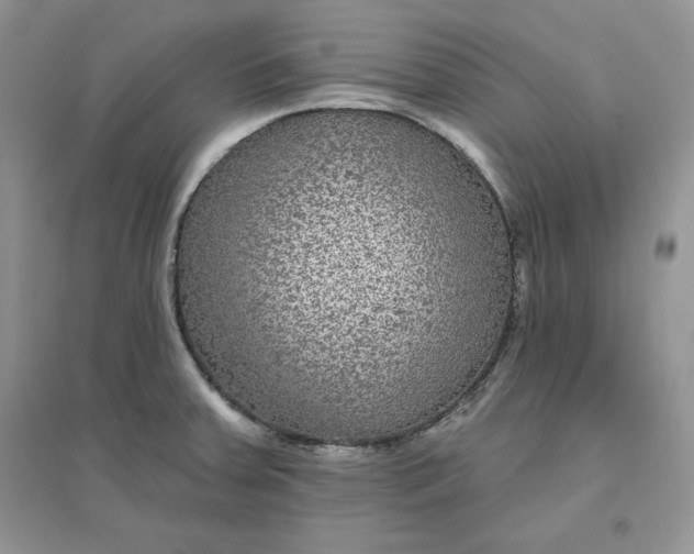 X0000096171379200802081401