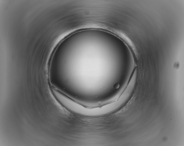 X0000096171380200802081401