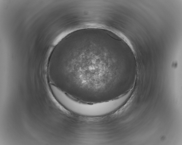 X0000096171381200802081401