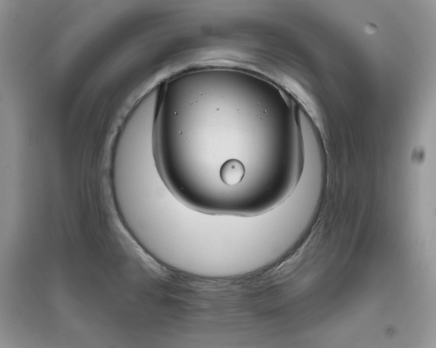 X0000096171384200802081401