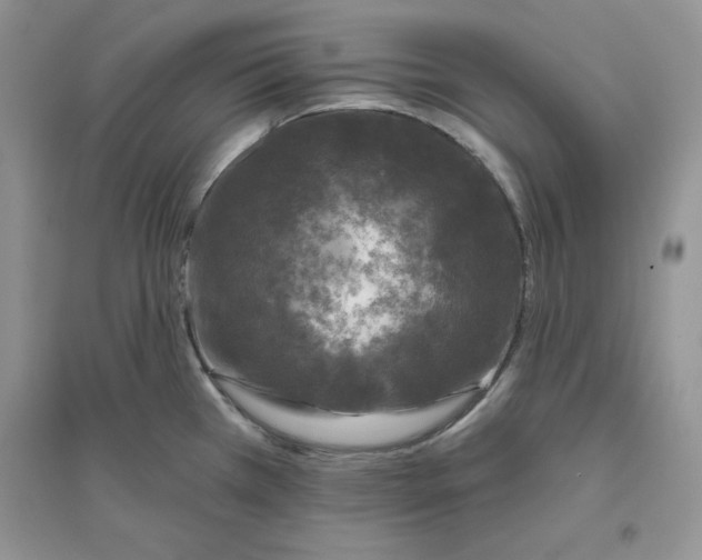 X0000096171385200802081401