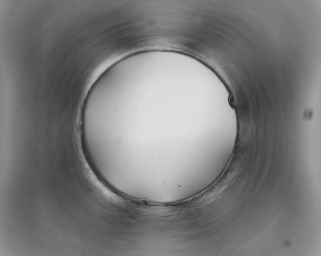 X0000096171387200802081401