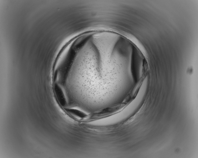 X0000096171388200802081401