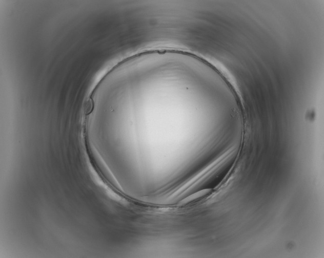 X0000096171390200802081401