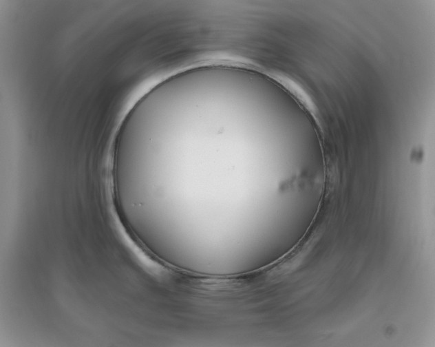 X0000096171391200802081401