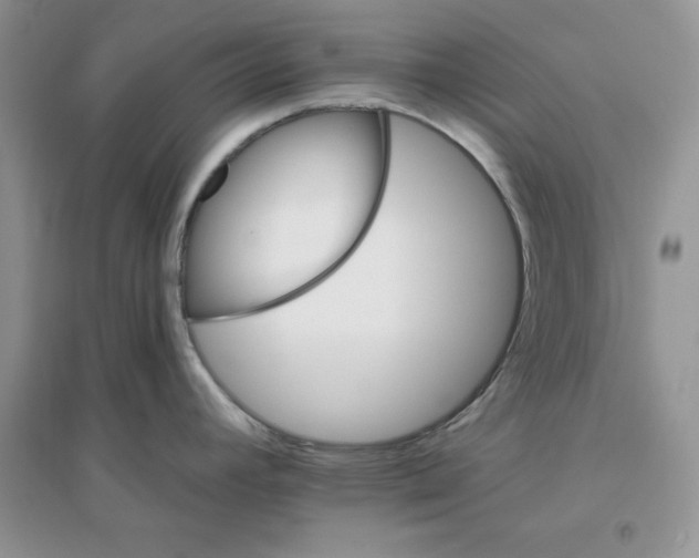 X0000096171392200802081401