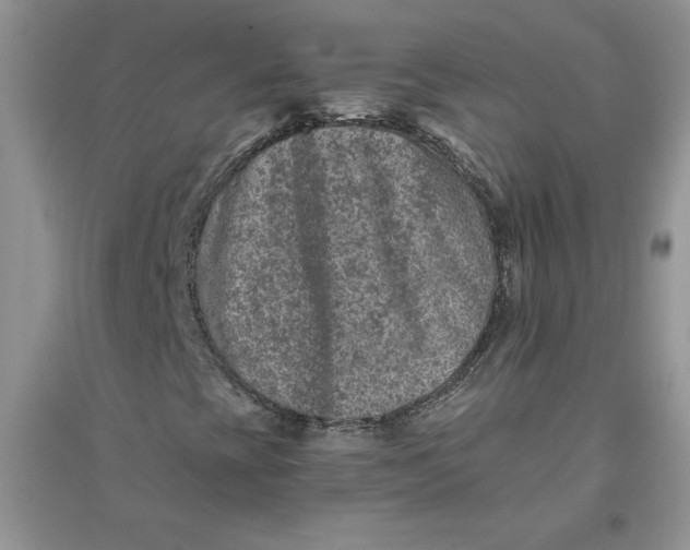 X0000096171393200802081400