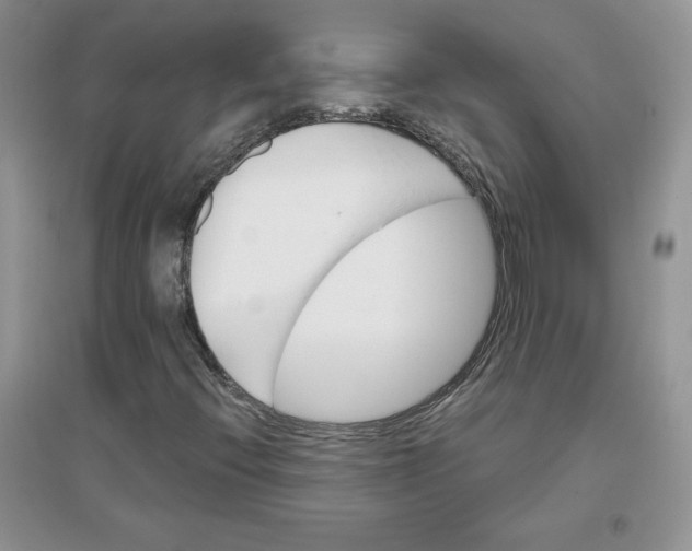 X0000096171396200802081400