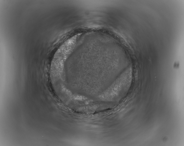 X0000096171397200802081400