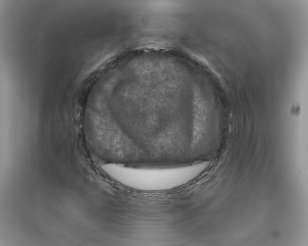 X0000096171399200802081400