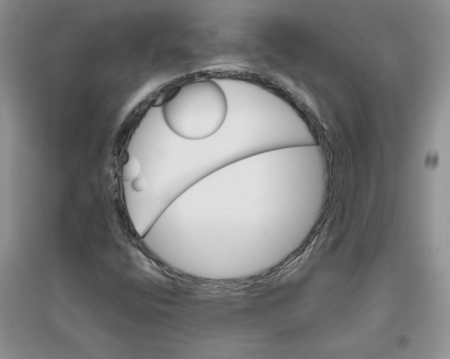 X0000096171400200802081400