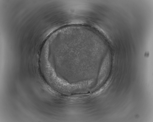 X0000096171401200802081400