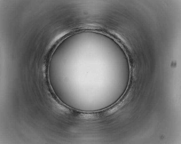 X0000096171402200802081400