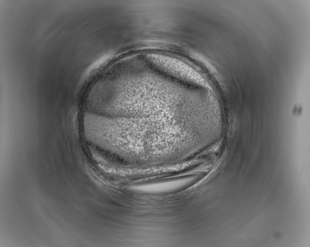 X0000096171403200802081400