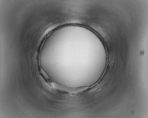 X0000096171404200802081400