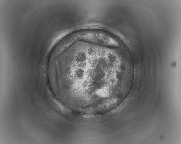 X0000096171405200802081400