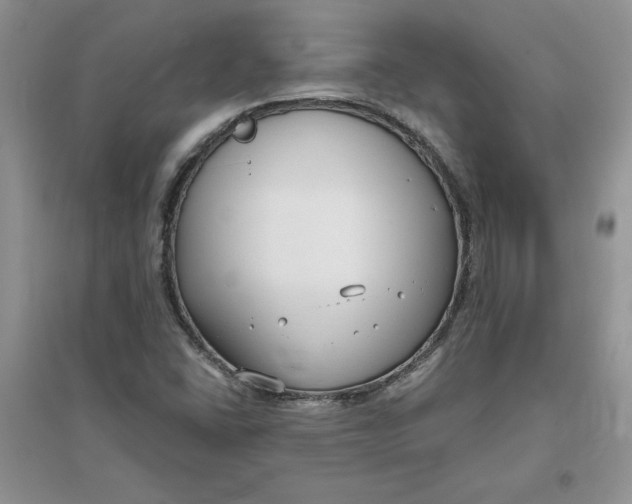 X0000096171406200802081400